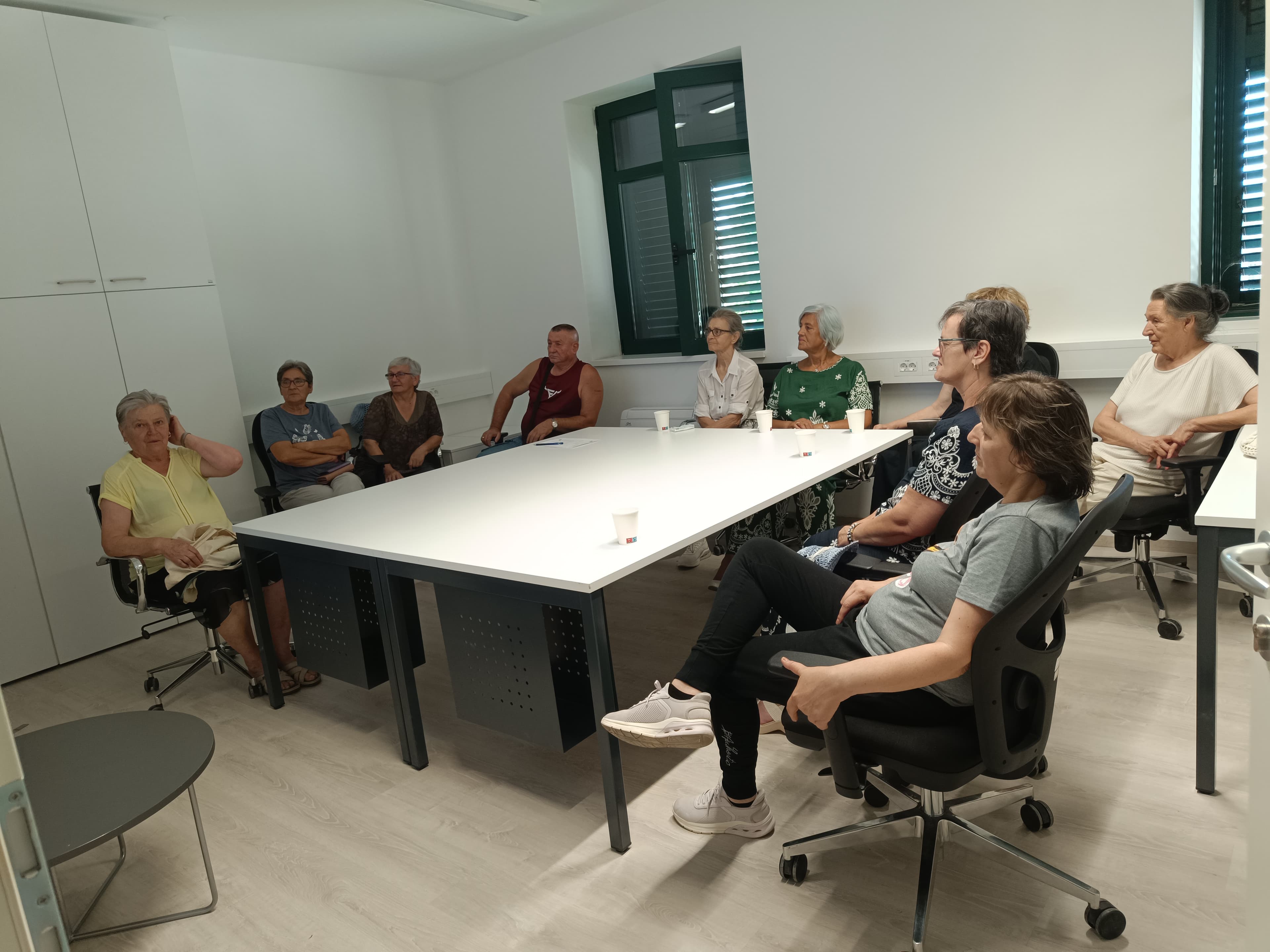 Radionica o prepoznavanju dezinformacija, Knin, 17. srpnja 2026.